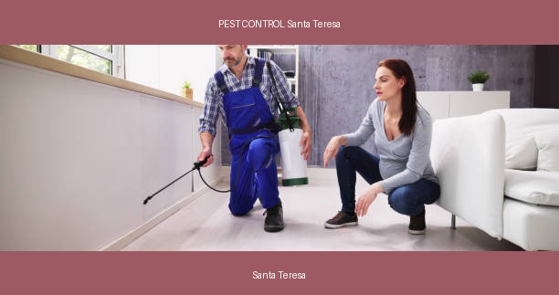 PEST CONTROL Santa Teresa